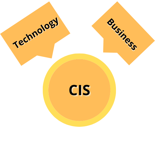 Information Systems vs. Information Technology (IS vs. IT)