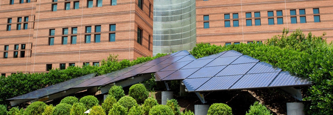 solar panel array in front of Peacock Hall